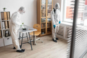 A professional exterminator inspecting a home for signs of mouse activity