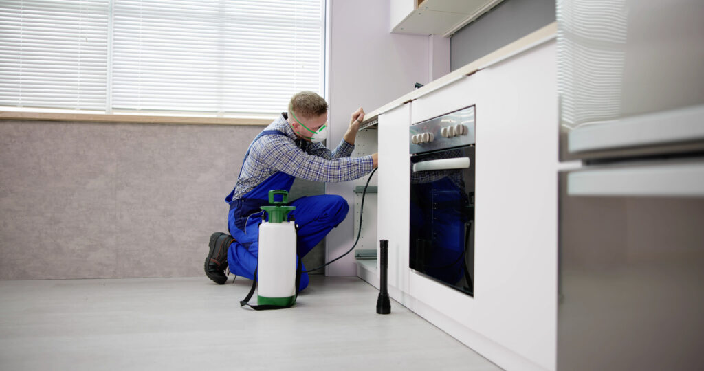 Pest Control Technician Treating Kitchen For German Cockroaches